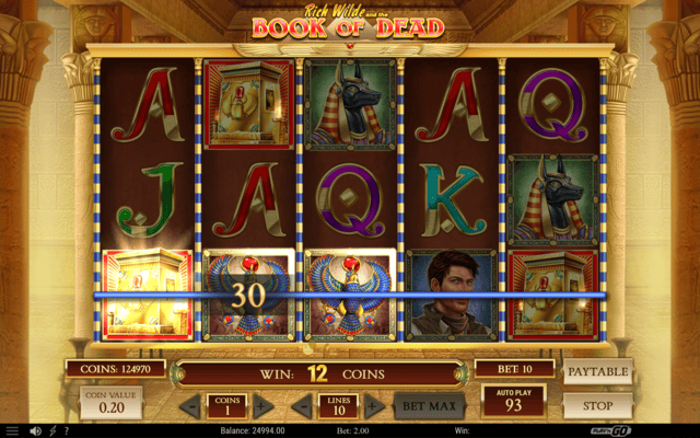 Die Risiko-Funktion im Detail Gamble-Funktion in Book of Dead